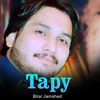About Tapy Song