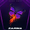 About Zarna Song