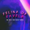 About Felina da Favela Song