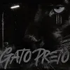 About GATO PRETO Song