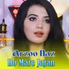 About Ho Mare Jajan Song