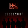 About Bloodshot Song