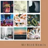 Let It Go Mr Bird Remix