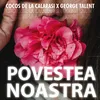 About Povestea noastră Song