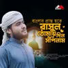 About Banglar piranto hote rasul tumai dil supilam Song