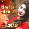 About Ehna Tenu Chauni Aa Song