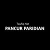 PANCUR PARIDIAN