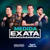 About Medida Exata (Do Nosso Jeito 2) Ao Vivo Song