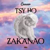 About Tsy ho zakanao Song