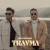 About Travma Song