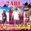 About Miami mami Song