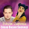 About Chbab Basah Sauvage Song