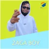 About Star Boy Song