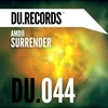 About Surrender Radio Edit Song