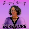 About Zore Zore Song