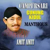 About Amit Amit Song