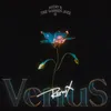 Vénus Remix