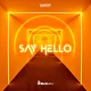 About Say Hello Song
