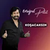 About Koşacaksın Song