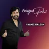 About Yalnız Kaldım Song