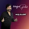 About Muş Elleri Song