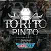 About Torito Pinto Song