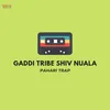 About Gaddi Tribe Shiv Nuala Song