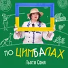 About По цимбалах Song