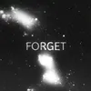 About Forget Song