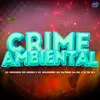 About CRIME AMBIENTAL Song