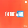About I'm The Wind Song