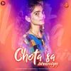 About Chota Sa Biraniya Song