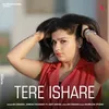 About Tere Ishare Song