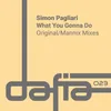 What You Gonna Do Mannix Remix