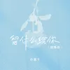 留什么给你 烟嗓版