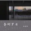 About 奈何岁月 Song