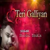 About Teri Galliyan Song