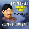 About Gunung Kidul Handayani Song