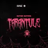 About Tarantule Song