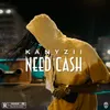 About Need Cash Song