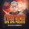 About Passarinho Que Som É Esse? Remix Upa Upa Pocotó Song