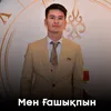 About Мен ғашықпын Song