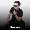 About Досым Song