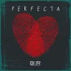 About Perfecta Song