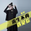 About 来生不再遇见你 Song