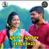 About Poola Poola Raikadhana Song