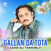 About Gallan Da Tota Song