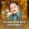 About Pilwainda Raa (Sharabi) Song