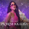 About Problemi bogatasa Momentum 2023 Song