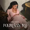 About Pogresan raj Momentum 2023 Song